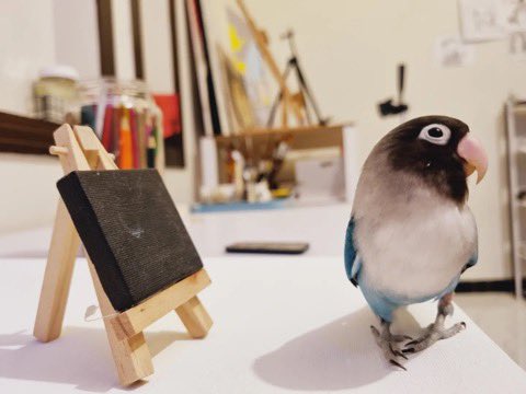 ladyfeather__'s tweet image. My pet and it’s portrait (rip dodo)
