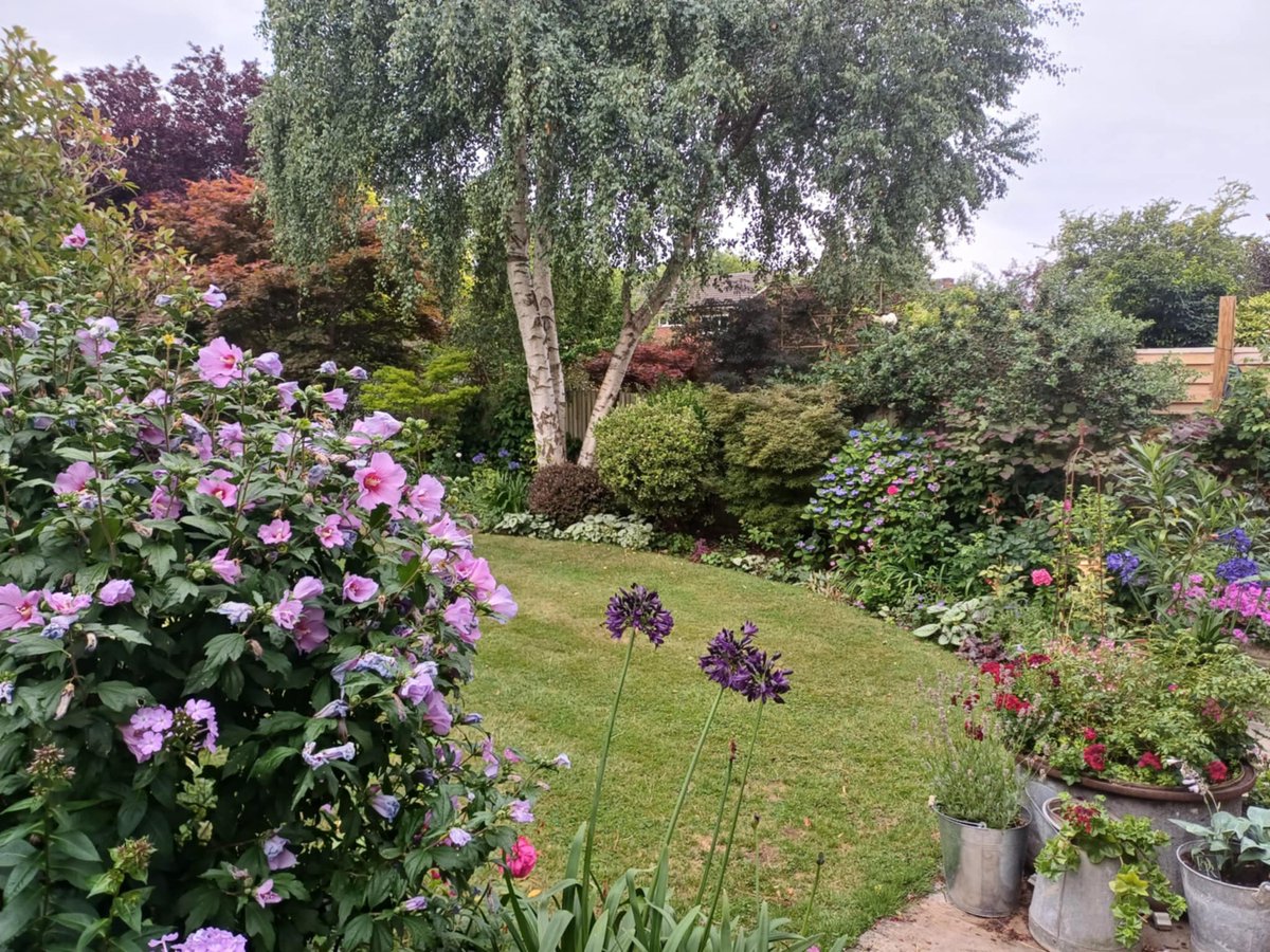 RobertoFerdenzi's tweet image. Spent a relaxing Sunday morning in my brother, @LouFerdenzi&apos;s, beautiful garden. All his own green-fingered handiwork. 🌼🌹🏵🌳🌻🥀🌺

#GardenersWorld