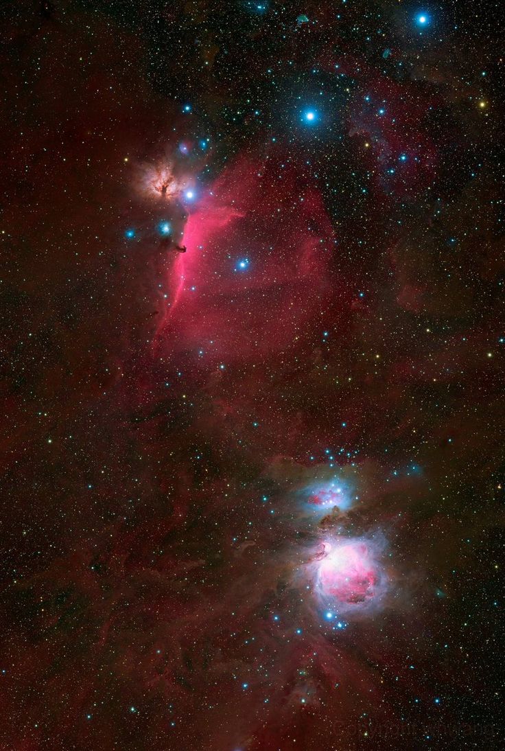 Madriles6211's tweet image. M42 &amp;amp; Horsehead Nebula by Wei Hago Wang (astrobin?)