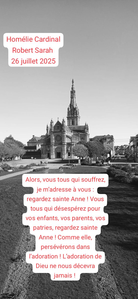 Alors, vous tous qui souffrez, je m’adresse à vous : regardez sainte Anne ! Vous tous qui désespérez pour vos enfants, vos parents, vos patries, regardez sainte Anne ! Comme elle, persévérons dans l’adoration ! L’adoration de Dieu ne nous décevra jamais !

Homélie 26 juillet 2025