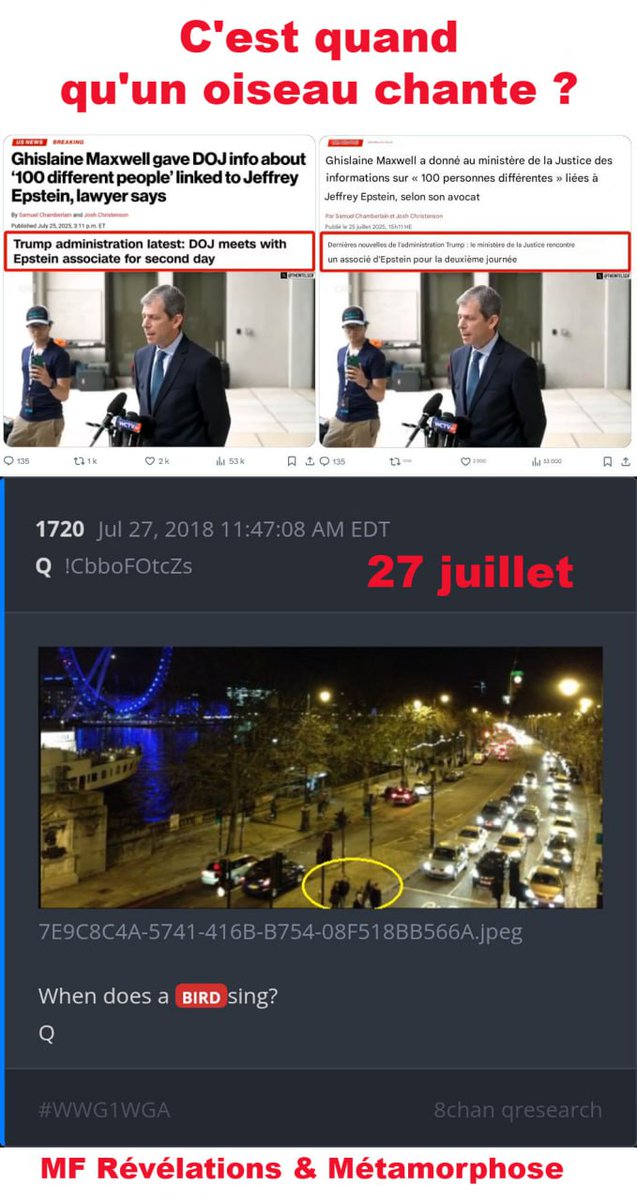 ElbezMarie's tweet image. Ils vont tous chanter, se vendre les uns les autres, se tirer dans les pattes, ils n'ont pas de morale, pas d'âme et sont capables de tout pour sauver leur triste peau !
