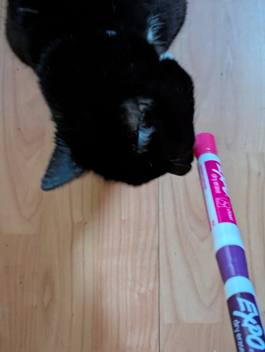 falfredposting_'s tweet image. remembered i can make a stick