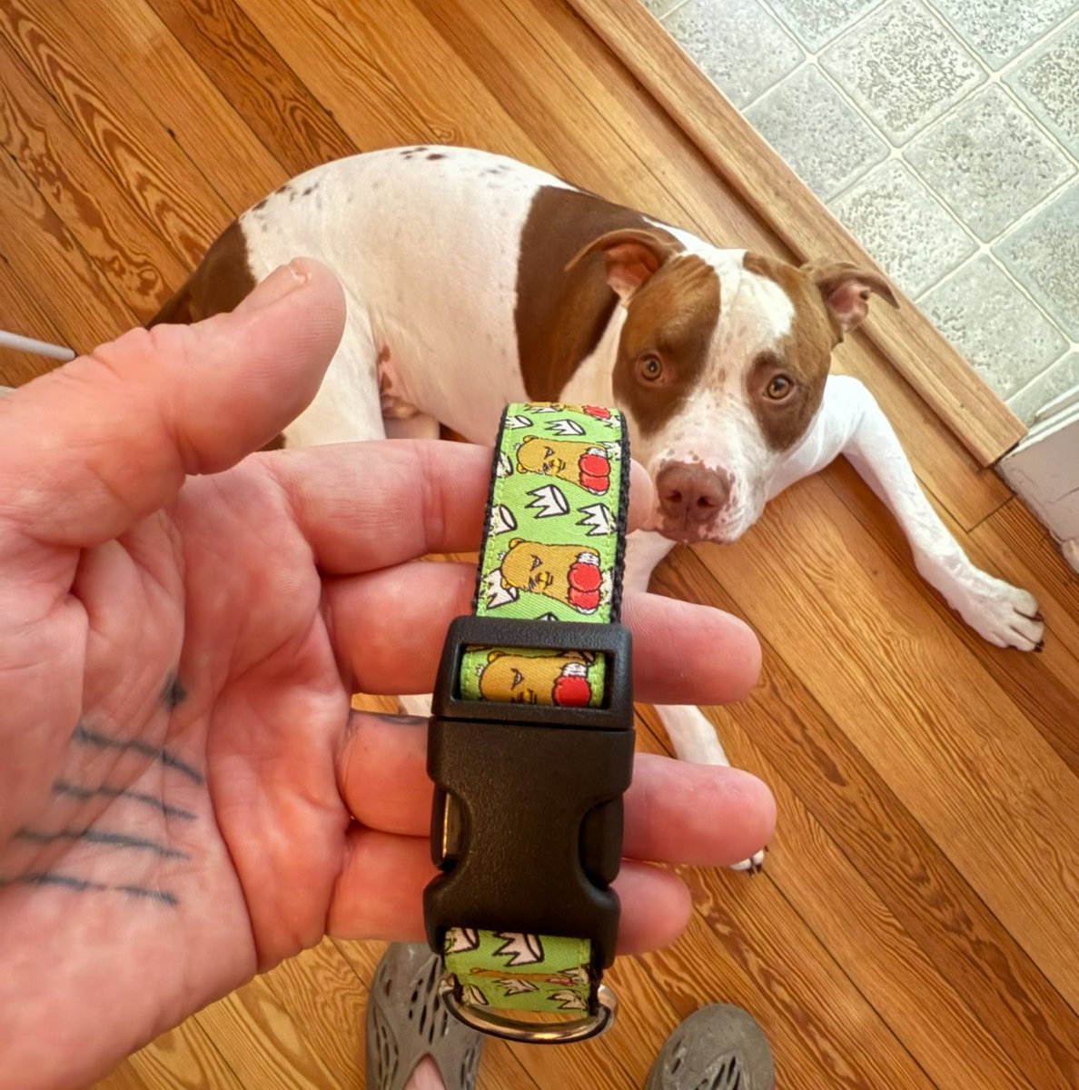 So this is kinda cool $bchamp