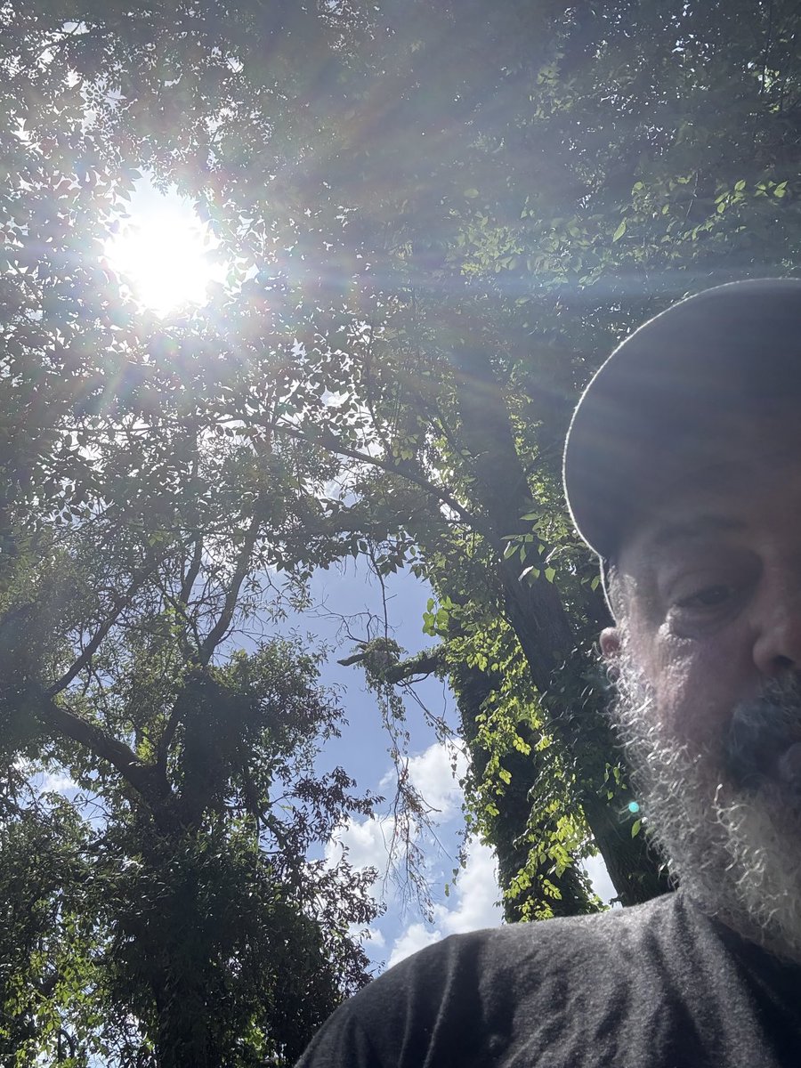 1Bonehed's tweet image. When the only thing you want is to sit in the shade a few minutes, nature be like “Hold My Beer…”