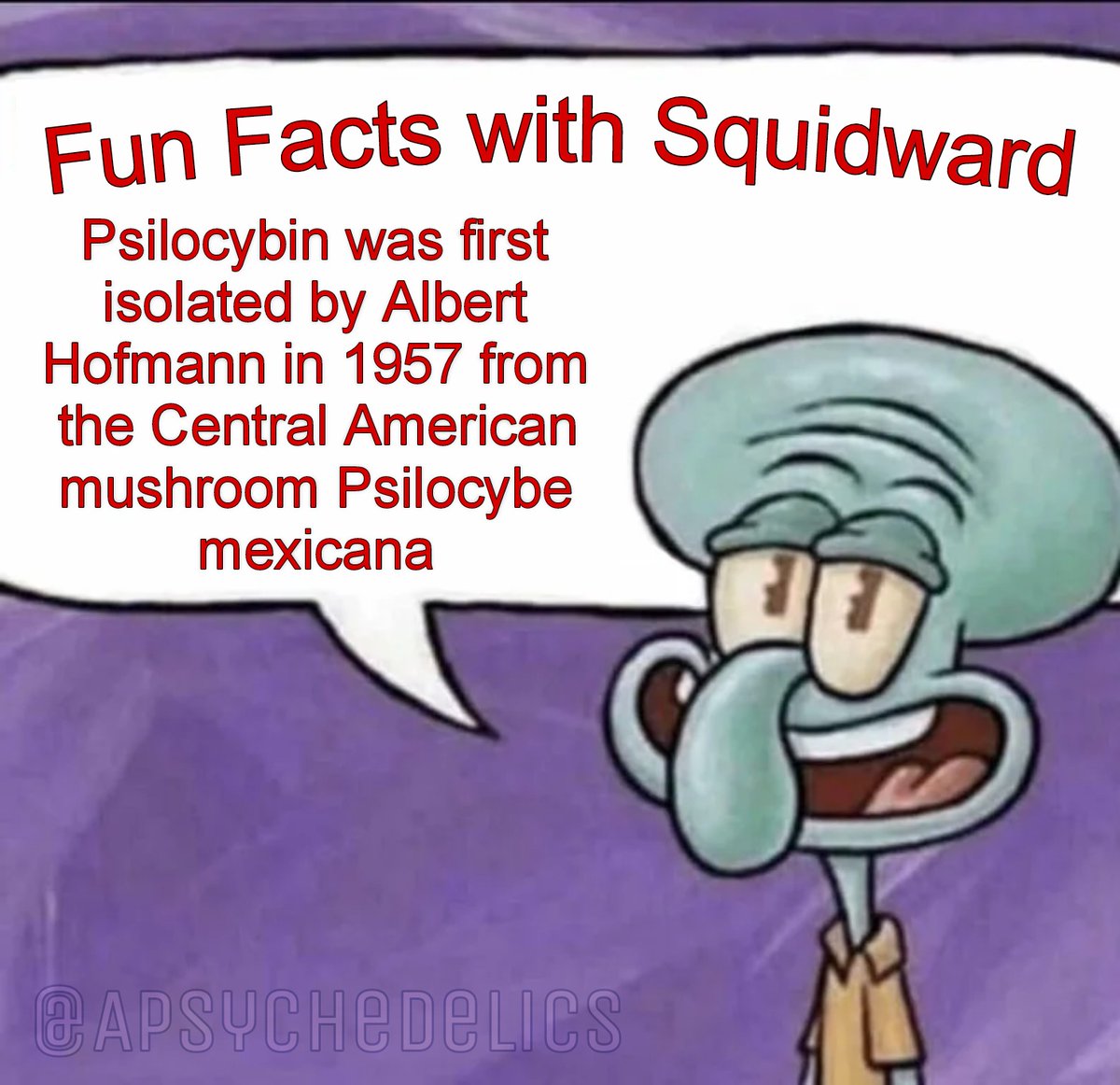 APsychedelics's tweet image. Fun fact about Psilocybin ๐โ๐ซ