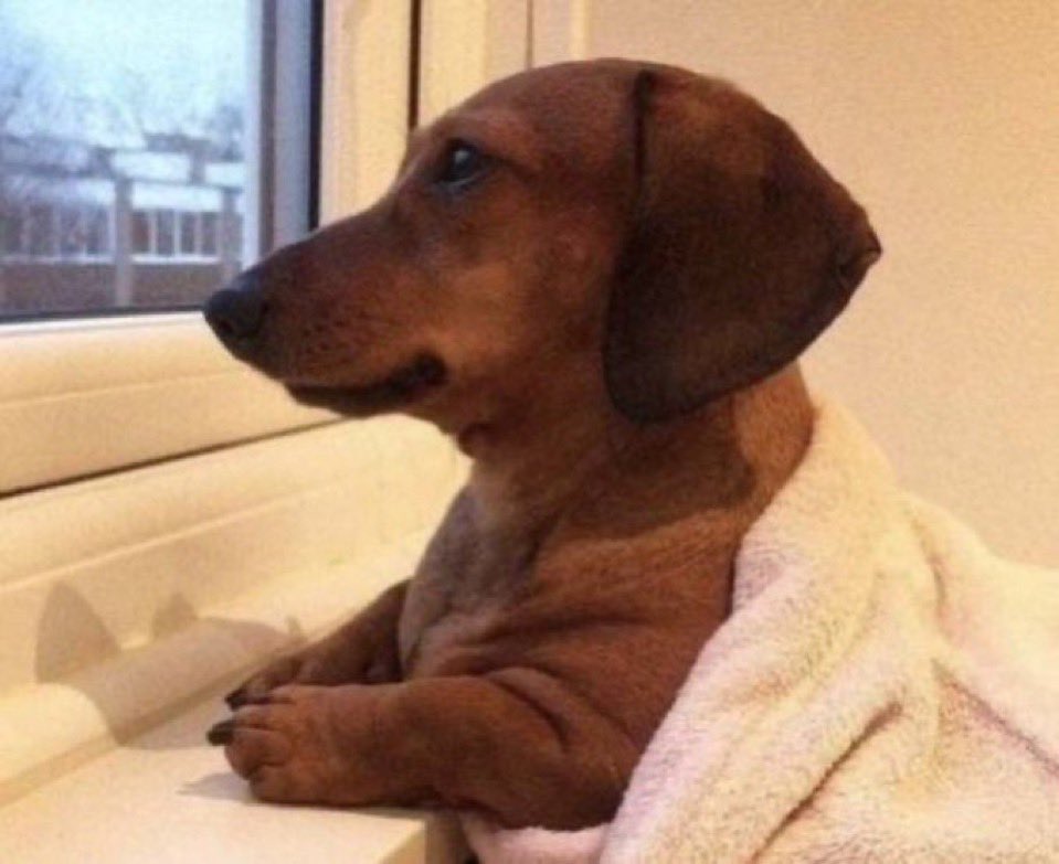 edxkennedy's tweet image. dando o primeiro play do dia no virgin