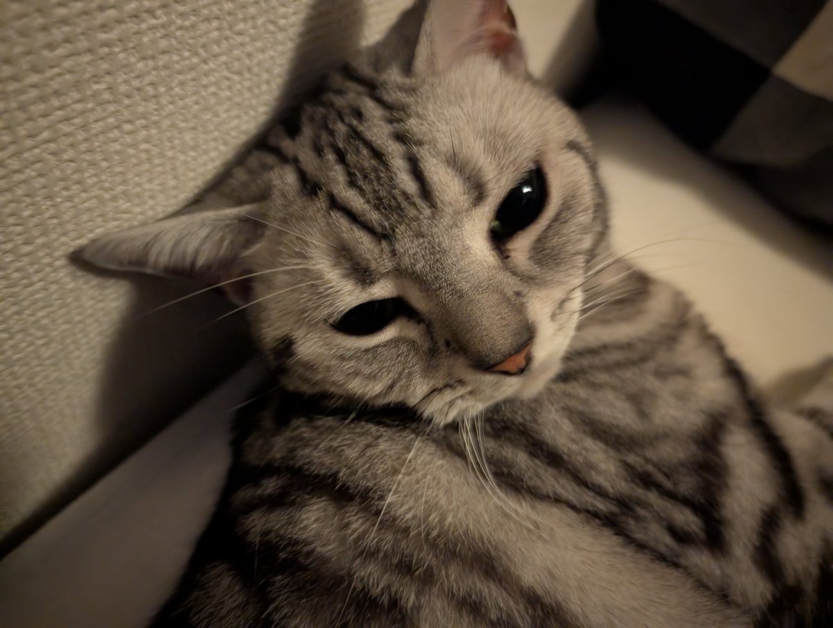 junhazuki_siiro's tweet image. そろそろ寝たい
薬使って寝る
おやすみ…