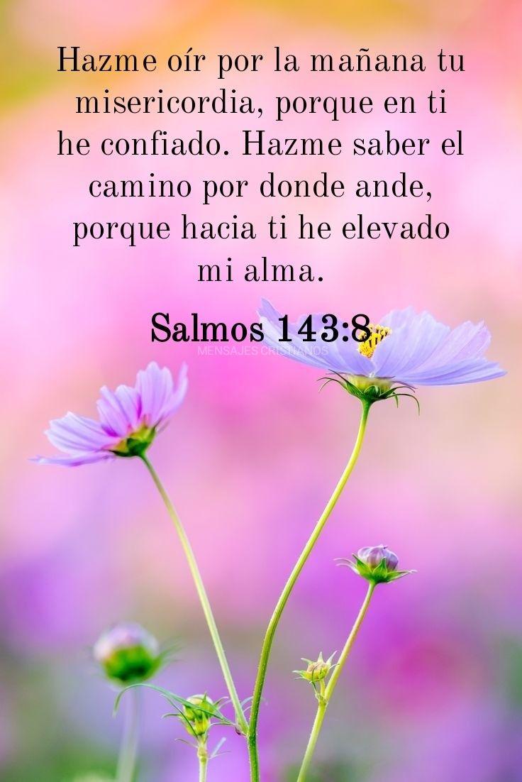Hna. Esperanza (@espefraternidad) on Twitter photo 