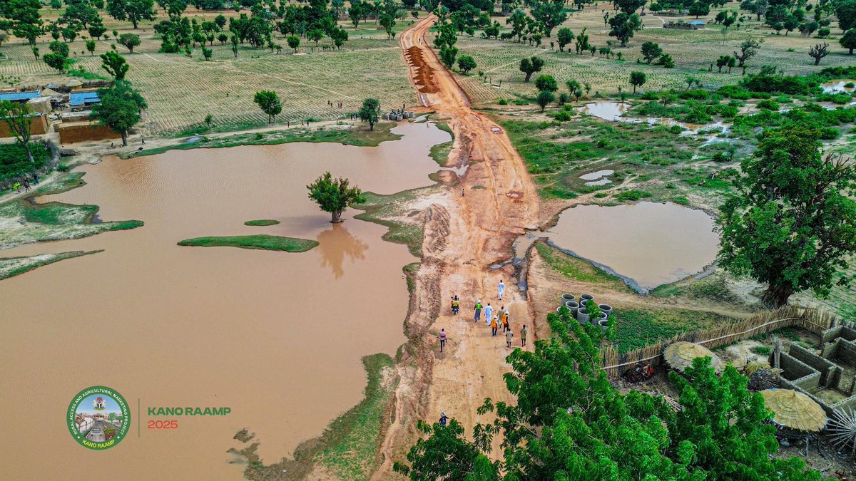Kk_frontline's tweet image. Rural Development: Construction of 22.9KM road From Ajingi-Gulya to Gaya Road (Surface Dressing).
#AbbaIsWorking.