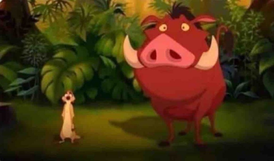 Timón y Pumba decepcionados viendo como me preocupo por todo y no vivo como hay que vivir.