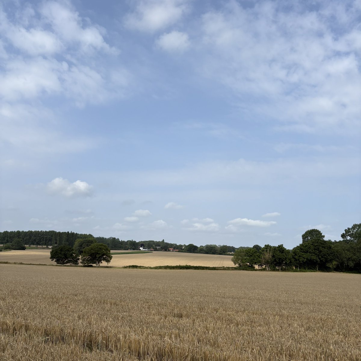 Great Yarmouth Samaritans tweet media