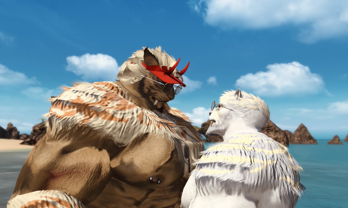 Two cats in the island 🏝️