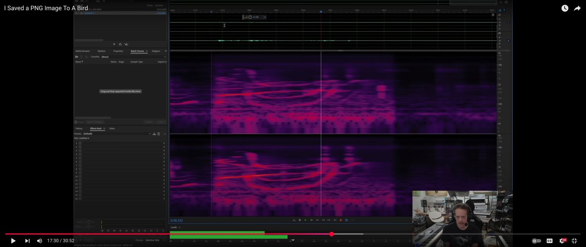 canalCCore2's tweet image. Essa é, sem dúvida, uma das ideias mais insanas que já vi: ele transformou o desenho de um pássaro em um espectrograma (ou seja, de PNG para onda sonora), reproduziu esse som para um passaro, e o pássaro cantou de volta conseguindo recriar o conteúdo do PNG.
Basicamente, usou o…