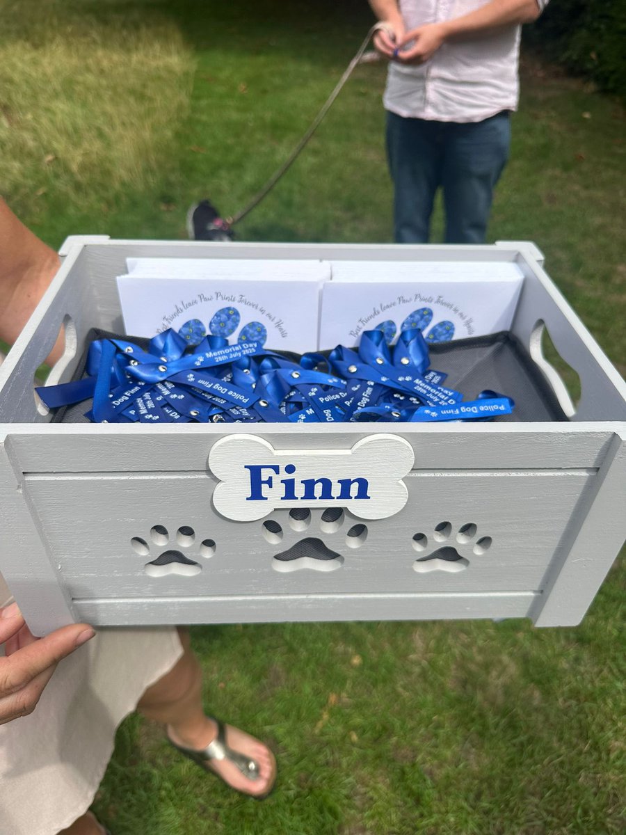 K9Finn's tweet image. Such a lovely gesture from our friend Suzanne, they went down really well and there will be lots of forget me nots all over the country 🐾💙

#FabulousFinn