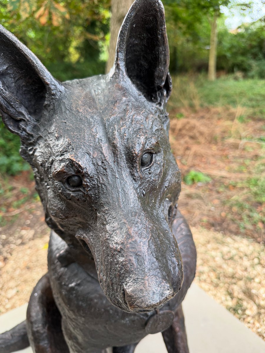 K9Finn's tweet image. When Gem went to check on Finn this morning before the memorial it looked like he was crying 💔🐾💙
#FabulousFinn #Finnslaw #FinnsLawPart2