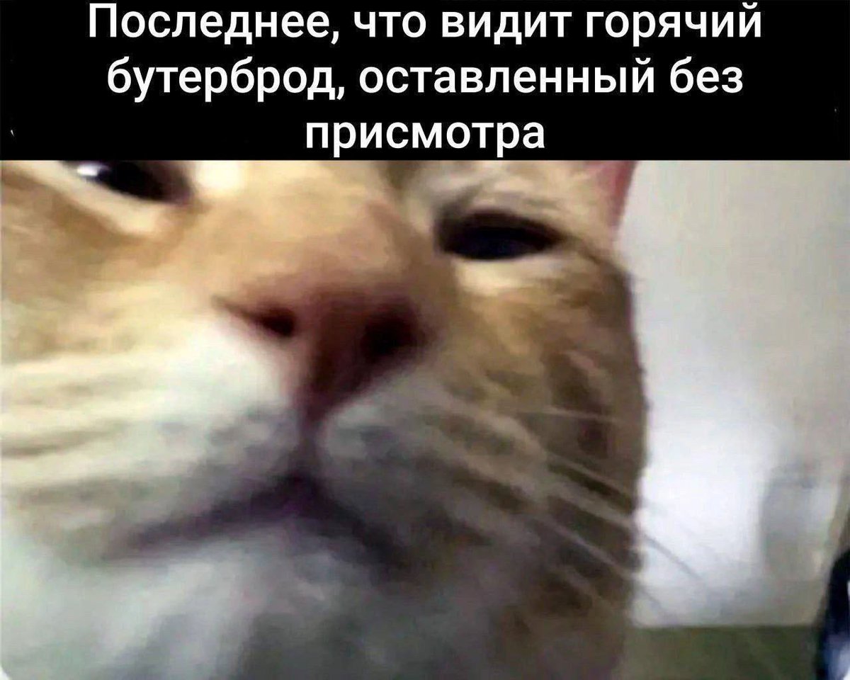 Nickro666's tweet image. 