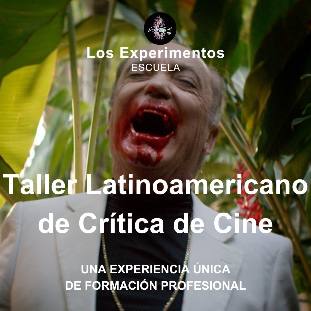 pabloagamba's tweet image. #CineLatinoamericano #LosExperientosCine Fórmate para hacer seguimiento a cines como el dominicano, que en 2019 sorprendió con "La fiera y la bestia", de Laura Amelia Guzmán e Israel Cárdenas, con Udo Kier y Geraldine Chaplin. Información e inscripciones:
losexperimentoscine.com/nuestra-escuel…