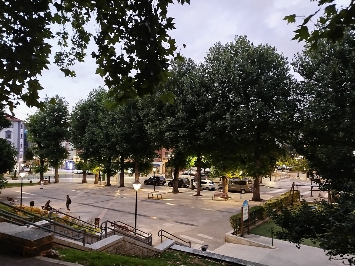 hay que ser muy mala persona para querer cargarse estos árboles para poner un parking que solo beneficia a unos especuladores turísticos #elCampillínNoSetoca