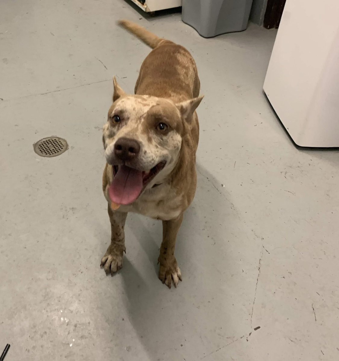 Lisa Brabson. tweet media