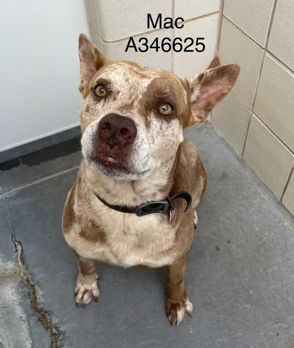 Lisa Brabson. tweet media