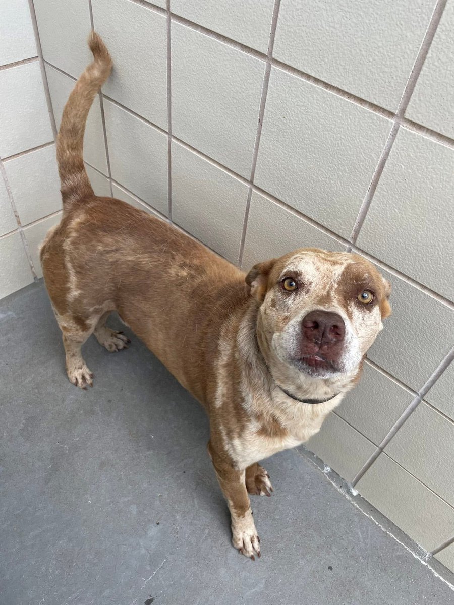 Lisa Brabson. tweet media