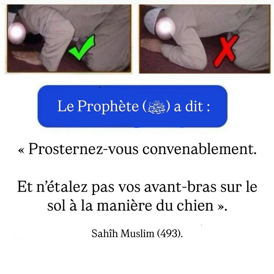 moussa_tawhid's tweet photo. Partagez ce tweet afin d’être la cause d’un bien.

Qu'Allah vous préserve. https://t.co/nZOV3bXUVM