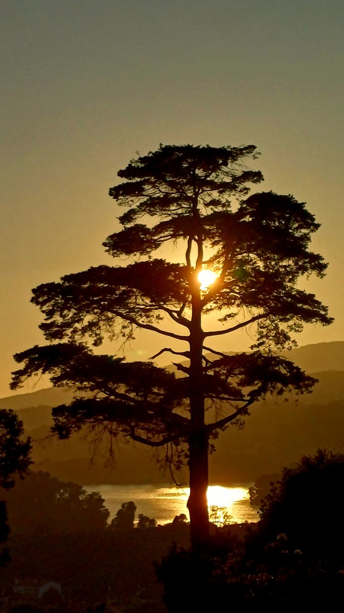 MeuRecuncho's tweet image. "La pradera está nublada y las aguas guardan silencio. Es el atardecer."
Yosa Buson.
#BoasNoites