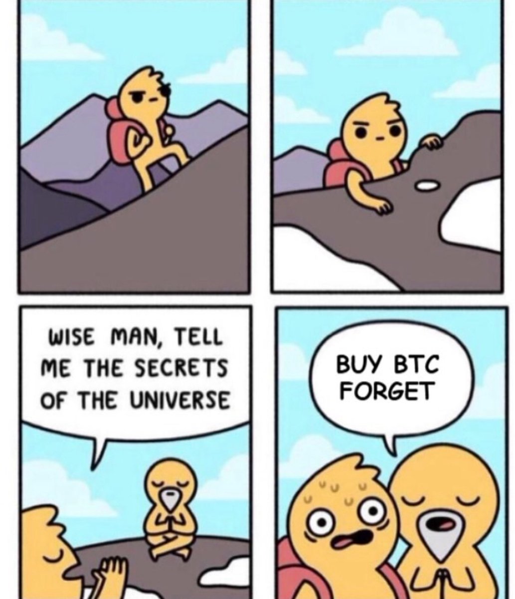 A wise man once told me: Buy #Bitcoin and forget.