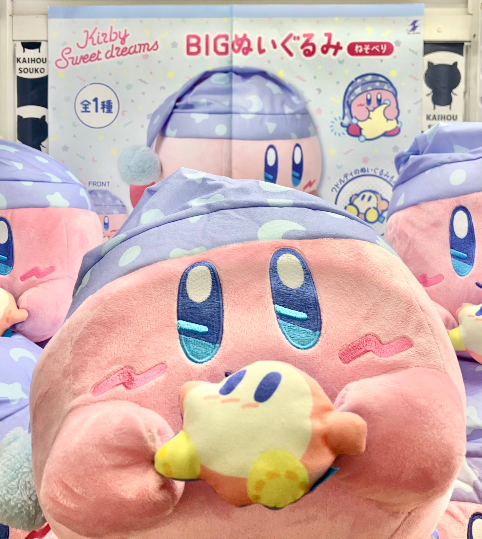 AAA BIGぬいぐるみ GOODS | AAA（トリプル・エー）OFFICIAL WEBSITE