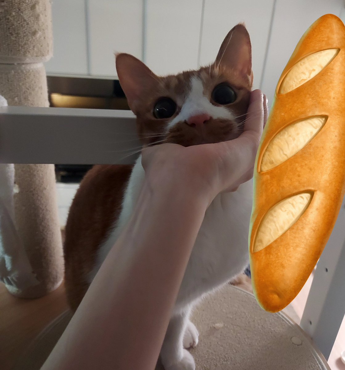 PISTACHIH0's tweet image. 굿모닝쵸