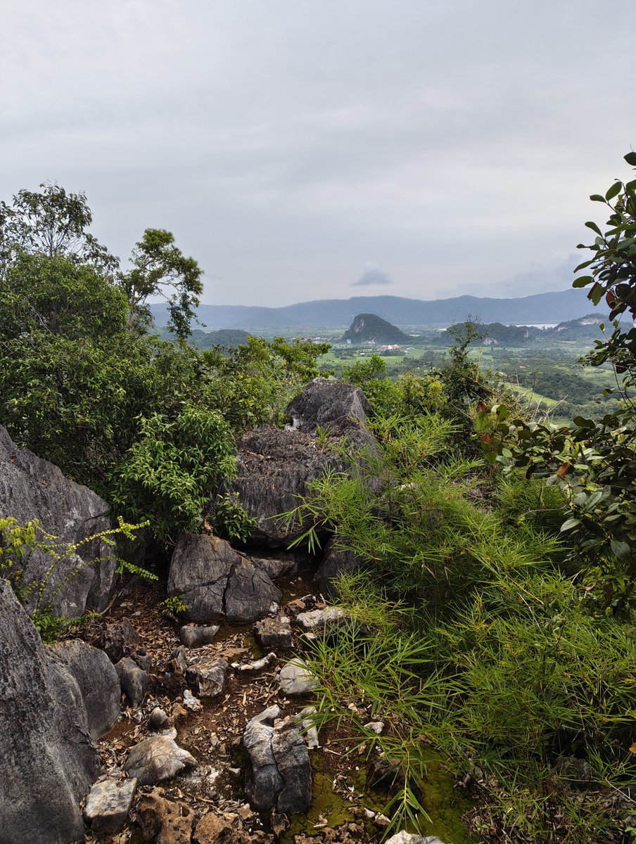 FishyDraw's tweet image. My body is so sore after this hike (╥﹏╥)
I don't know if I can post any drawings for next week....