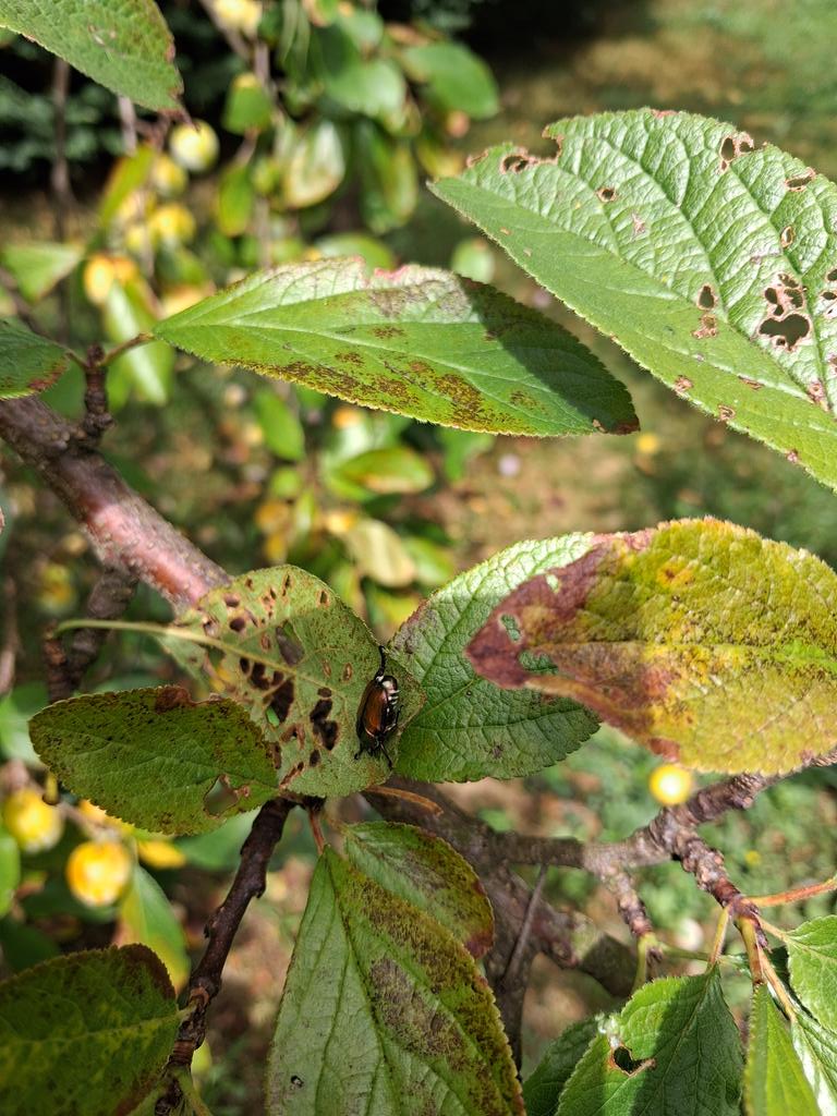 Miniver84 tweet media