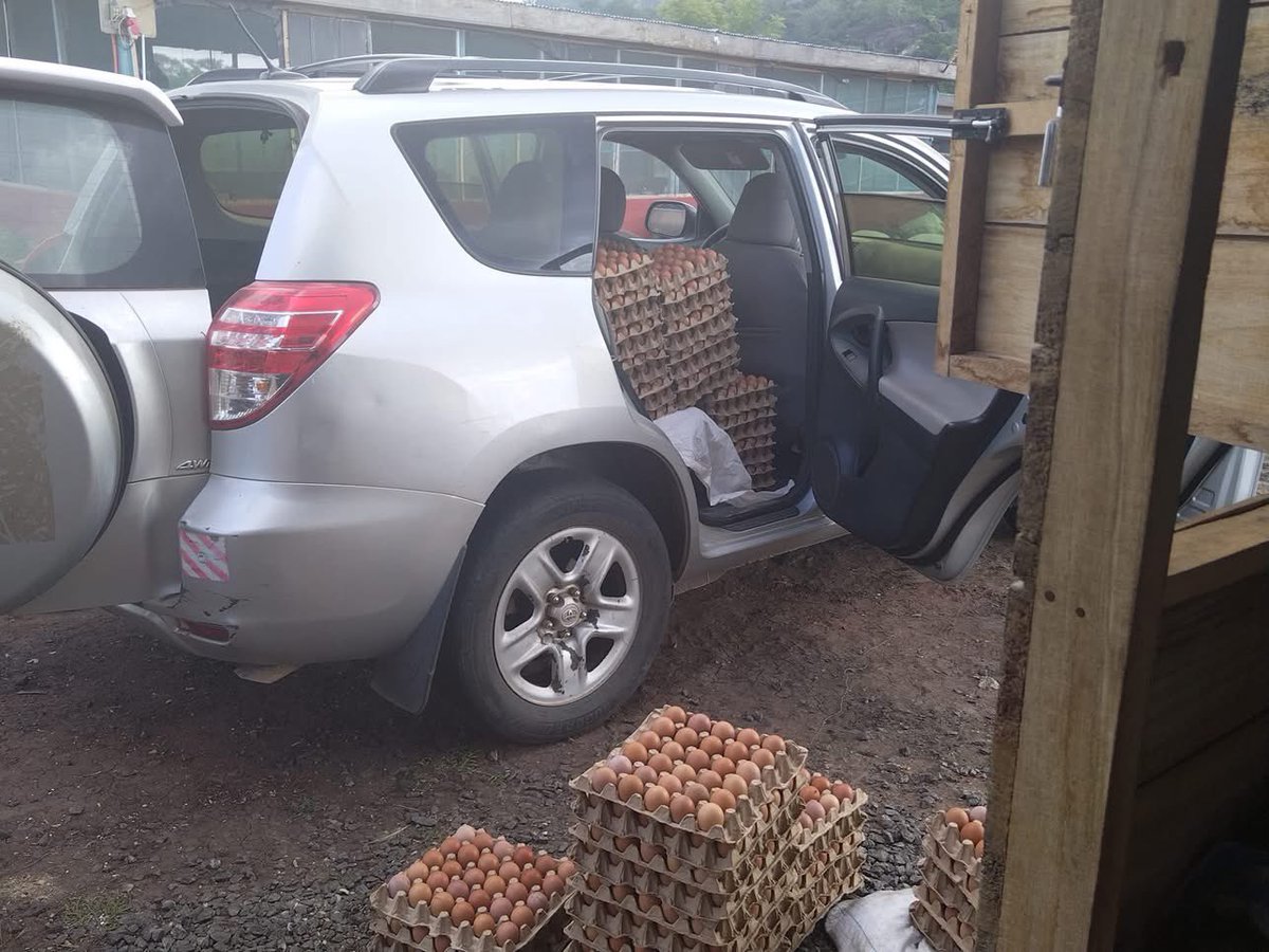 GITFiC2026's tweet photo. Visit the farm on Fridays to stock up on GITFiCs premium eggs, just like this wholesaler. https://t.co/7E2M82lOyc