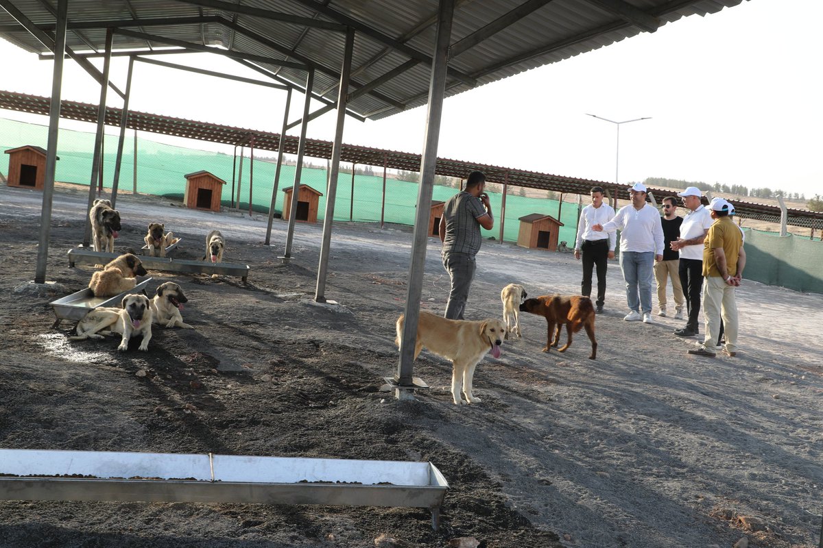 İlçe Kaymakamımız Sn. Yusuf Turan ve başkan yardımcılarımızla birlikte, Eyyübiye Belediyemizin Hayvan Bakımevi ve Doğal Yaşam Alanı'nda incelemelerde bulunduk.

Sokak hayvanlarımızın sağlığı ve güvenliği için yürüttüğümüz çalışmaları hassasiyetle sürdürüyoruz.