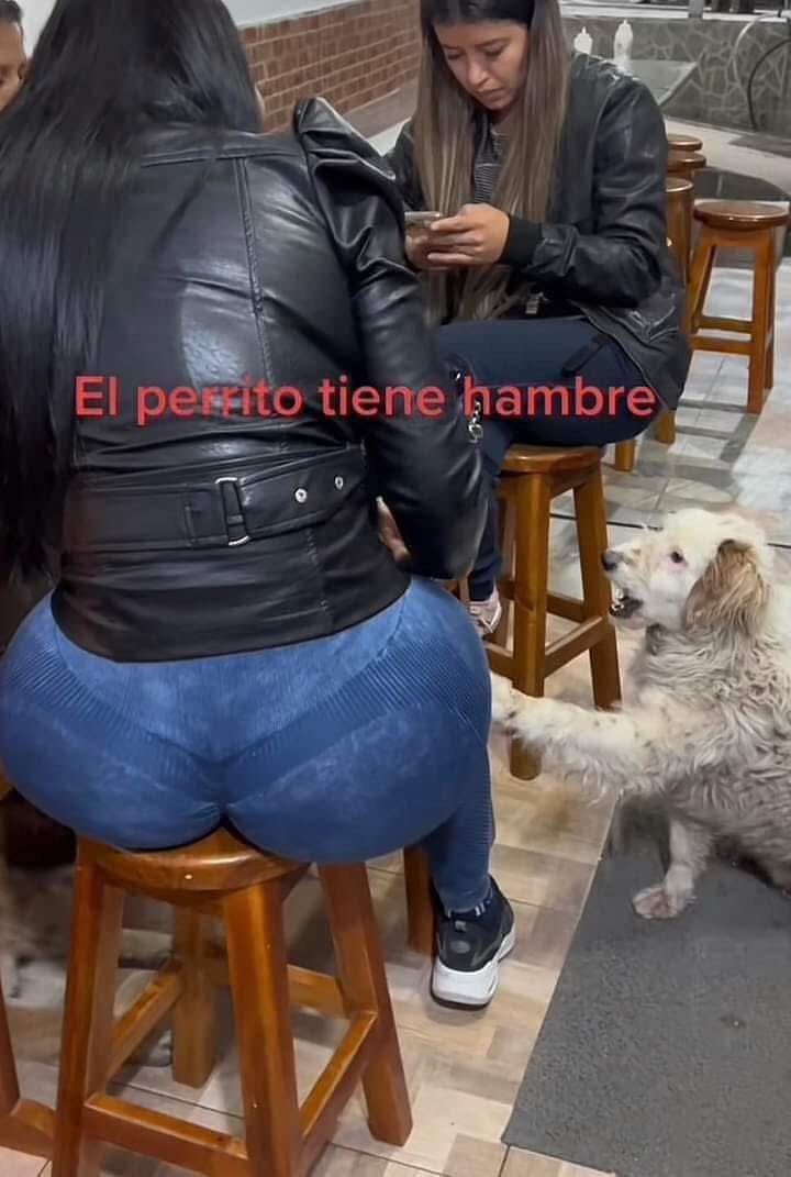 Me dan tanta ternura esos perritos 🥰🥰🥰