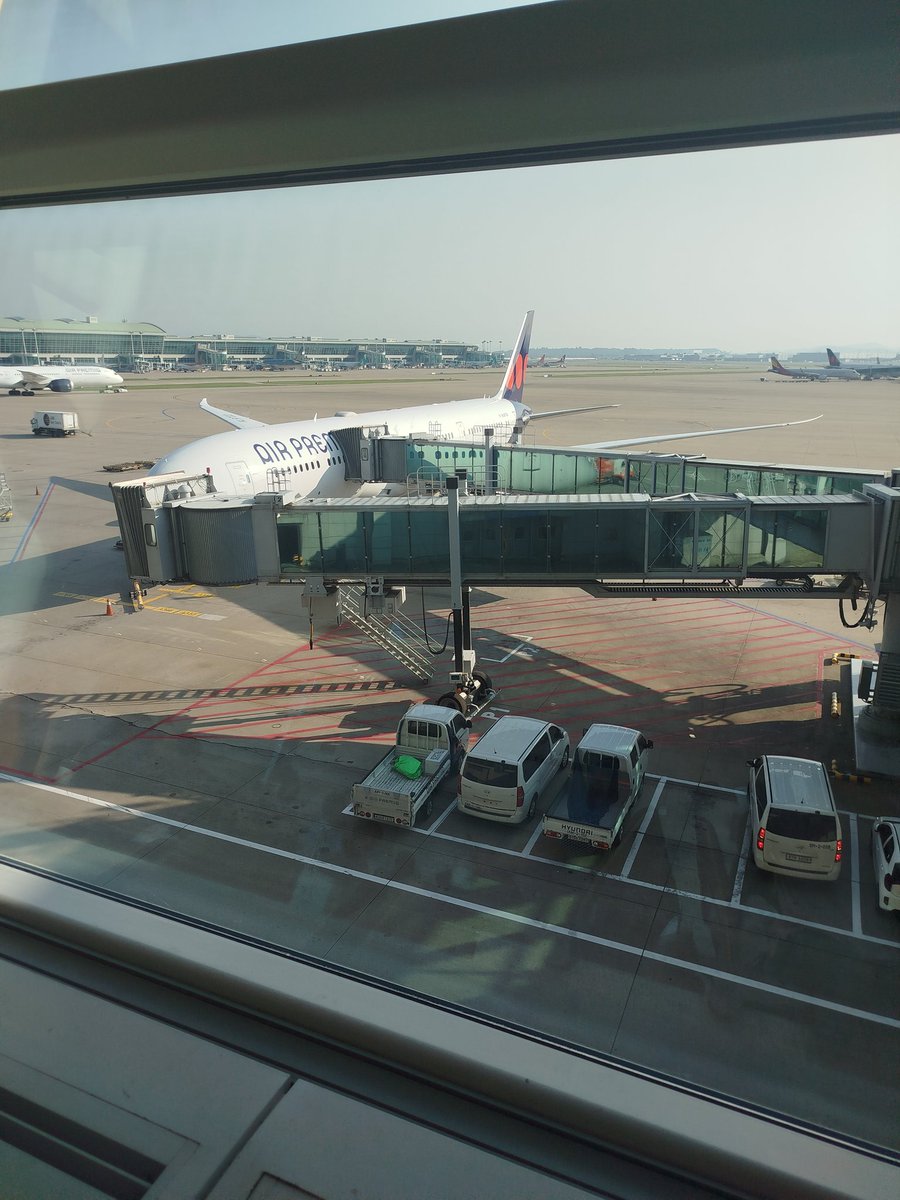 처음 타본 에어 프레미아... 저가 항공이면서도 787 드림라이너라 좋았음 흔들림 없는 편안한 운항...