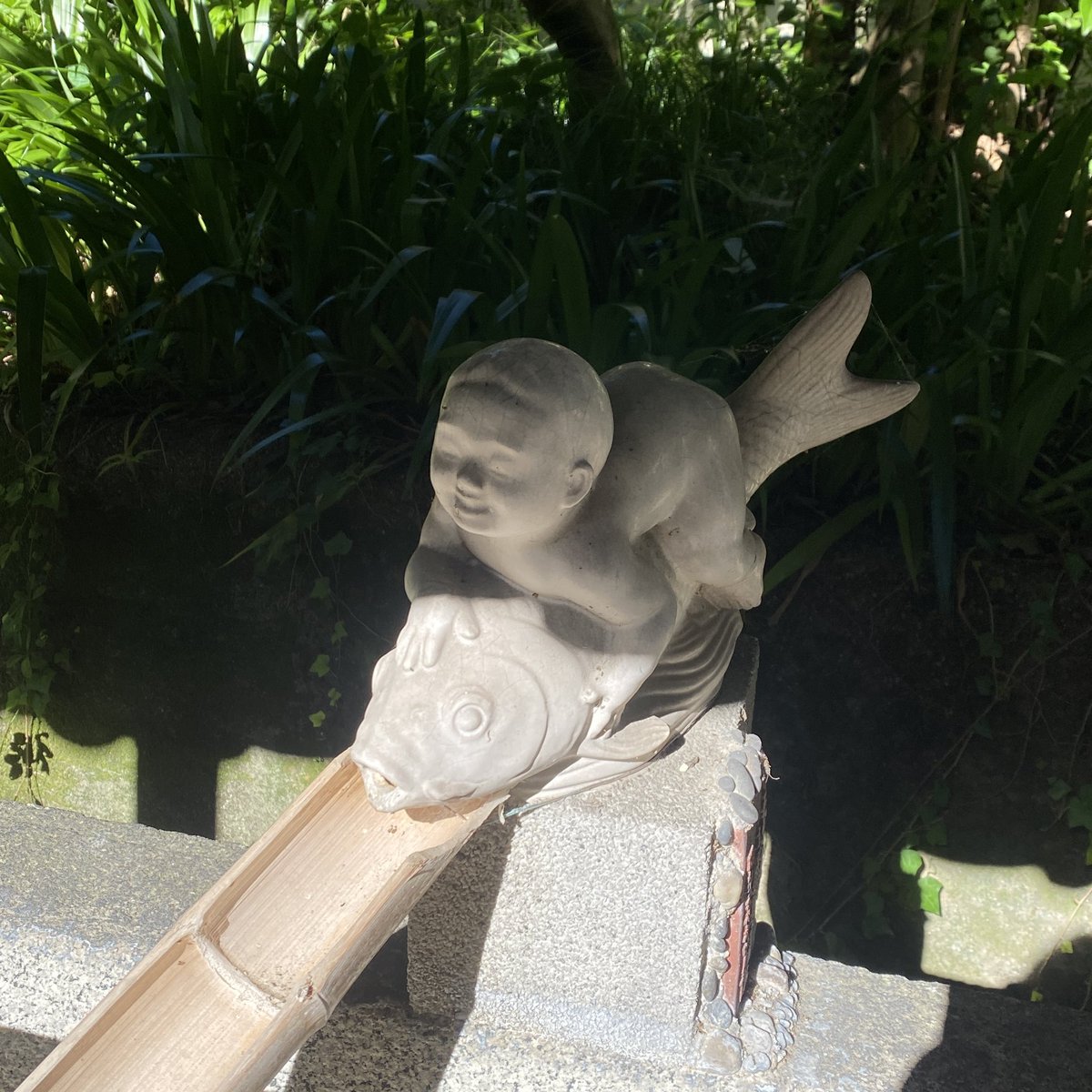 mooowu's tweet image. 常滑　その3
壺？がビオトープみたいになってたり、像にビビったり、お寺の手水舎が独特だったり。
散策はめちゃくちゃ楽しかったけど生活と観光場所が混同してるので、たまに張り紙があるように確かに民家に知らんひと入ってきたりして大変そう。
地図に出てるけどここ本当に道？てとこにドキドキした