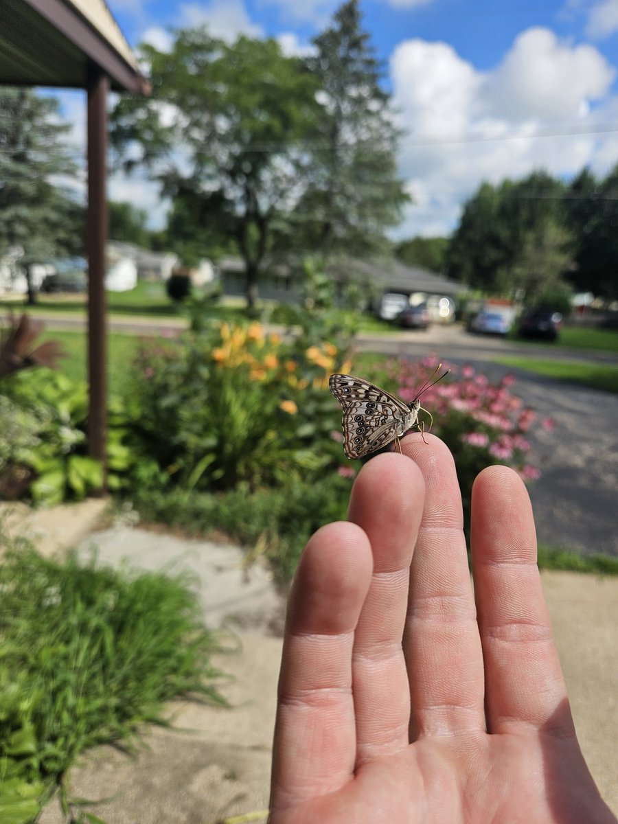 Have a great Sunday everyone 🦋