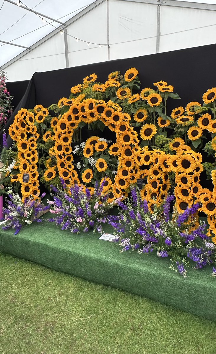 Kim Snape tweet media