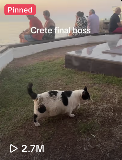 chonkusofficial's tweet image. Trying to grow your TikTok page?
Visit Crete and find Chonkus Maximus, he will bless you with a ton of engagement 😼