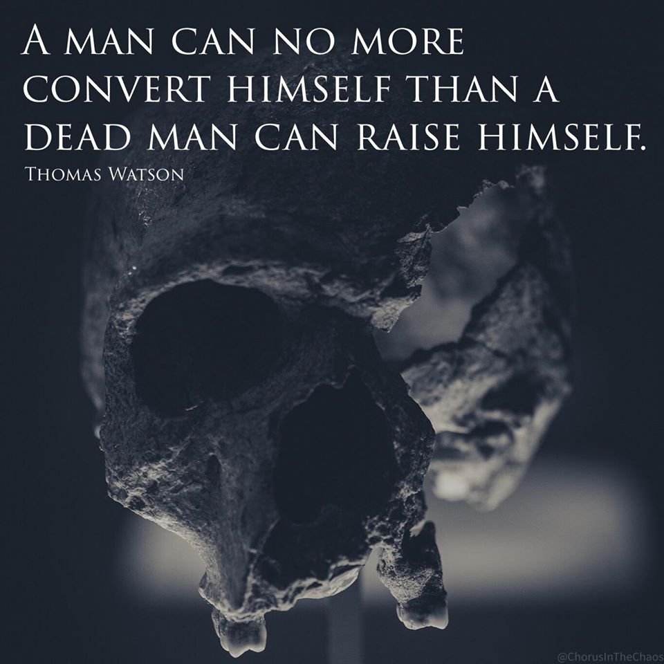 ParamedicVet's tweet image. 