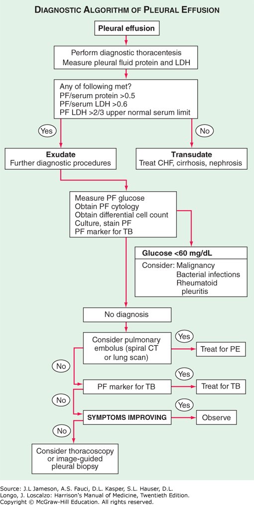 Ahmedata7777's tweet image. Diagnostic Algorithm of Pleural Effusion