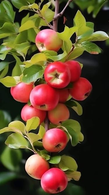 NatureWorld44's tweet image. 