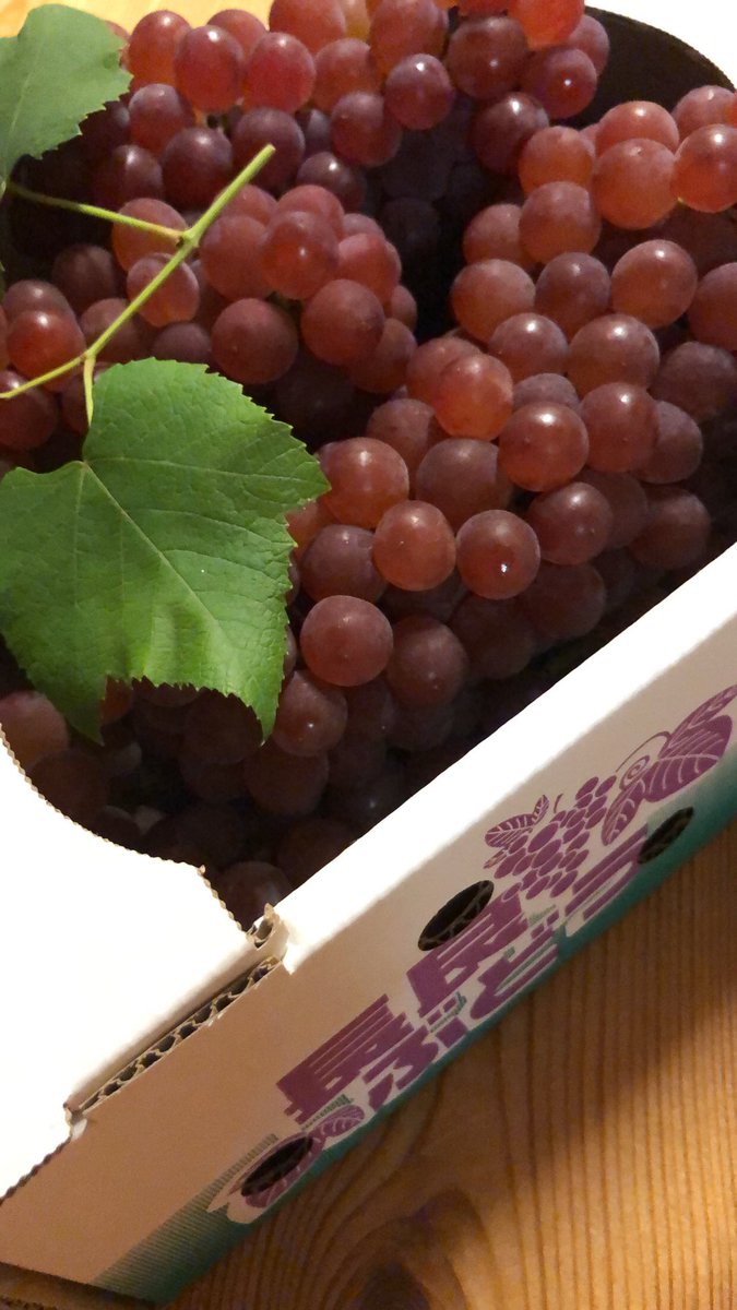 今年も また逢えたね🍇