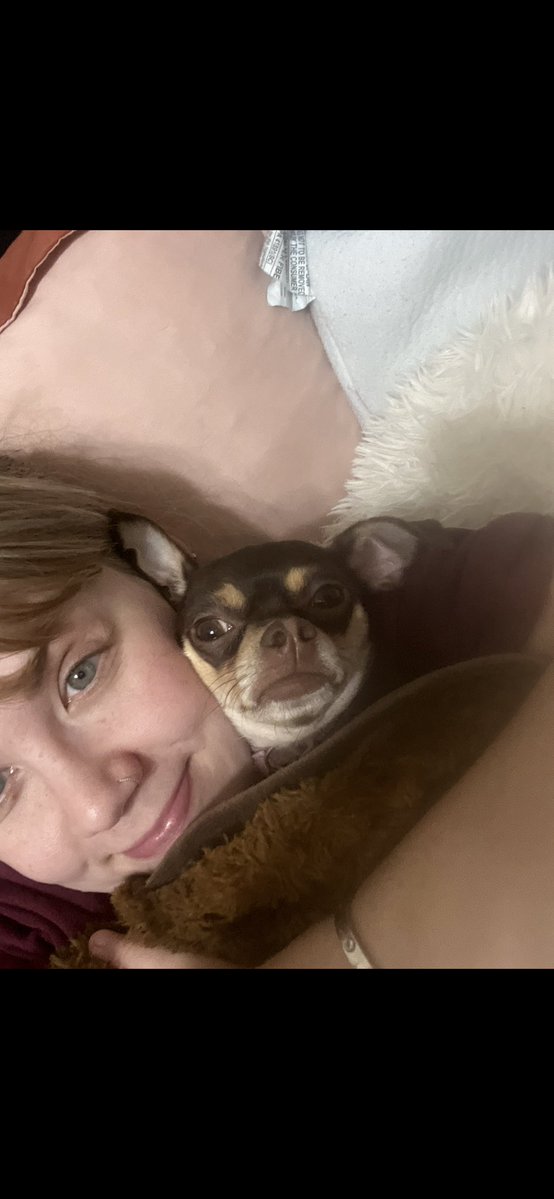 Good morning from Lulu and I! I plan on spending time in my classroom today! My list contains snacks for my students, and I’d appreciate your support! ❤️ Snacks are essential for my high school students! #clearthelist #teachertwitter #bettertogether 

amazon.com/hz/wishlist/ls…