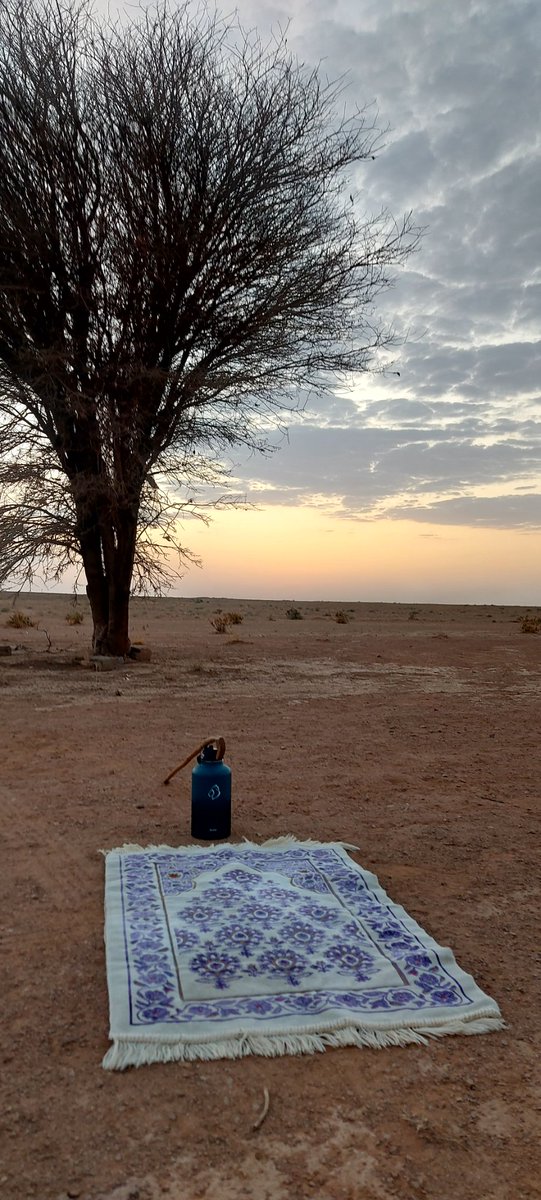 ZG9hcek2DAKiRlt's tweet image. مدينة شقراء الان نقتفي أثر الليل بعيون الغروب. ليس لدينا سوى فرحة مؤجلة نحملها في حقائب الغد
وقد لا يكون لها مكان أيضا
ولولا الحلم ما امتلأت حقائبنا أيضا
(تصويري مسيان الاحد )
#مكه_الان
#شقراء
#الرياض_الخضراء
#مساء_الخير