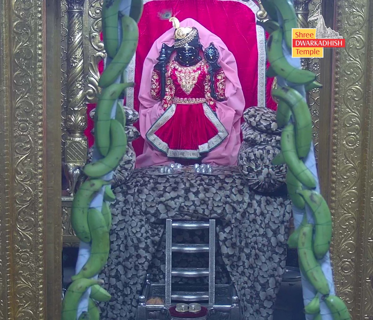 DwarkaOfficial's tweet image. राजाधिराज द्वारकाधीश जी के शयन दर्शन🙏
श्री द्वारकाधीश मंदिर द्वारका,गुजरात
दिनांक :- 27/07/2025 रविवार                          

#dwarka #sayandarshan
#shreedwarkadhishjagadmandirdwarka