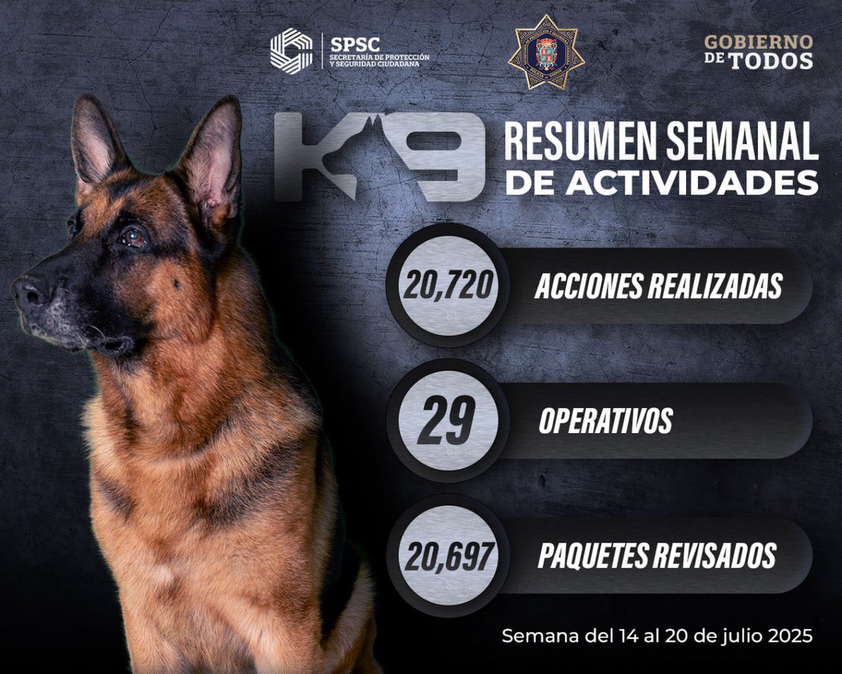 Resultados K9 | 14 al 20 de julio
La Unidad Canina de la @SPSC_Campeche sigue dando resultados:

🐾 20,720 acciones realizadas
🚔 29 operativos
📦 20,697 paquetes revisados

#PolicíaDeCampeche #LaMisiónEsDeTodos