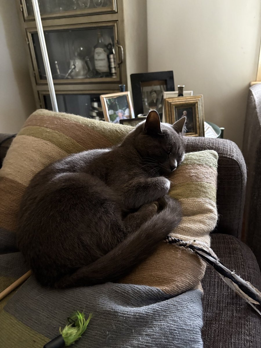 HelenORahilly's tweet image. Neither GAA final nor Euro Women’s Final is of interest to Gracie. She was glued to the hurling last week. Getting to know her priorities.