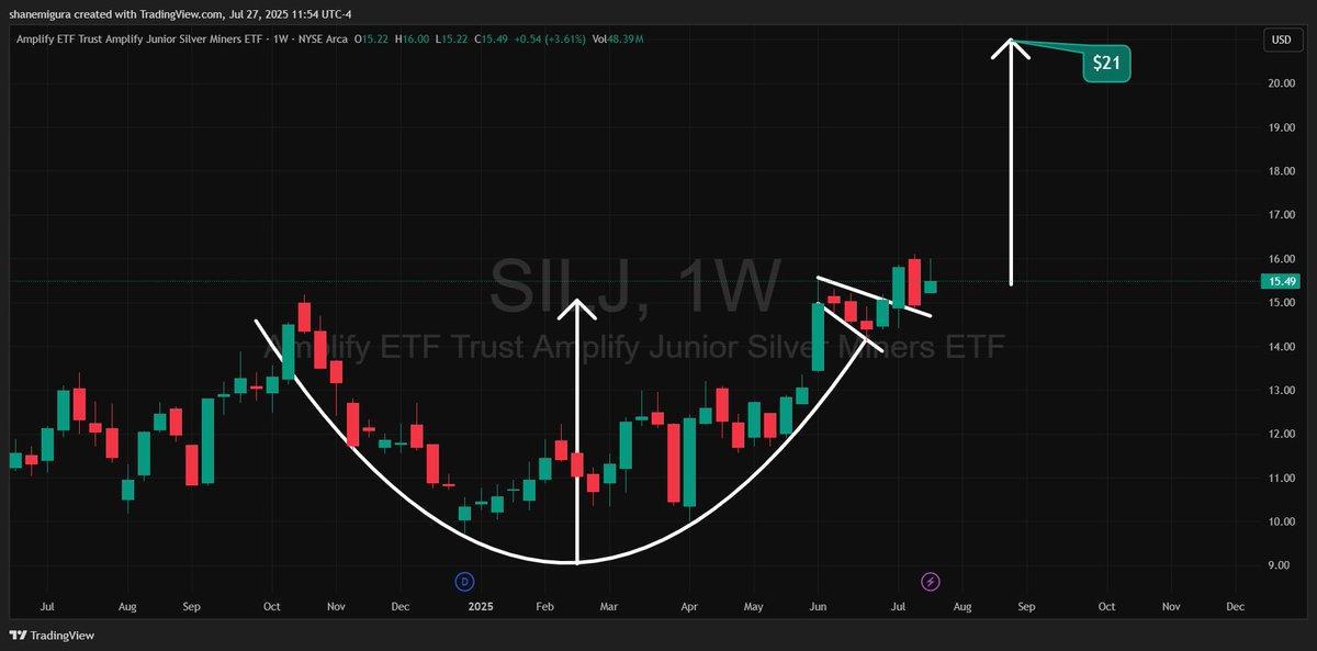 $SILJ is looking ready to go on the weekly.